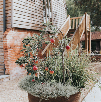 Tudor Barn Belstead